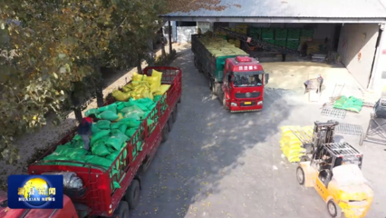 推进农产品深加工 助力农业产业提质增效