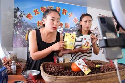 电商赋能，产业升级——河北青龙农产品电商经济助力乡村产业振兴