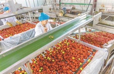 从田间到餐桌 初级农产品销售的资源转化新赛道