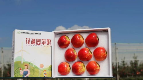 威海临港区 特色农产品变身“金果子”，初级农产品销售迎来新机遇