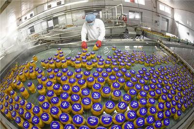 遵化 农产品转化添动力，助农增收谱新篇