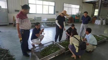 麻城电商破局之道 以多产业融合驱动农产品上行