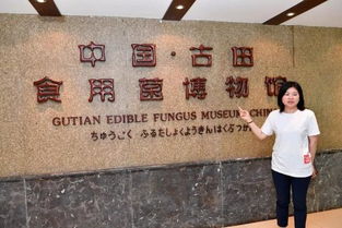 匠心传承，流金银耳月饼 宁德海归女博士的农产品创业之旅